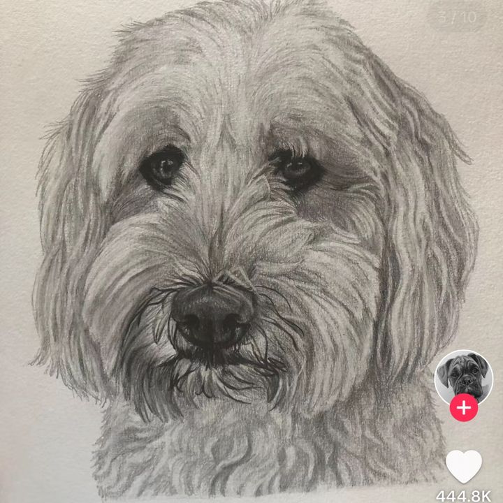 Profile Picture of nicholas (@nicholascurry6) on Tiktok