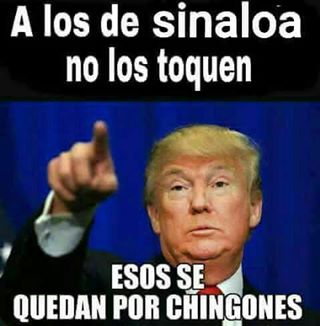 Profile Picture of Alex Mayagoitia (@Alex-Mayagoitia) on Facebook