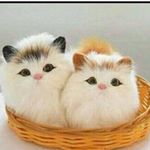 Profile Picture of Pretty Doll (@saba.maqbool.336) on Instagram