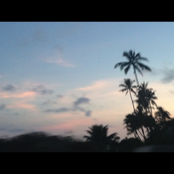 Mia Tokunaga - Poshmark Profile Picture of Mia Tokunaga (@mia_btq) on Poshmark