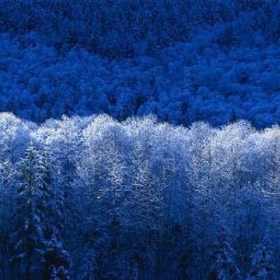 Profile Picture of Cale Jacob (@tacoboy567) on Twitter