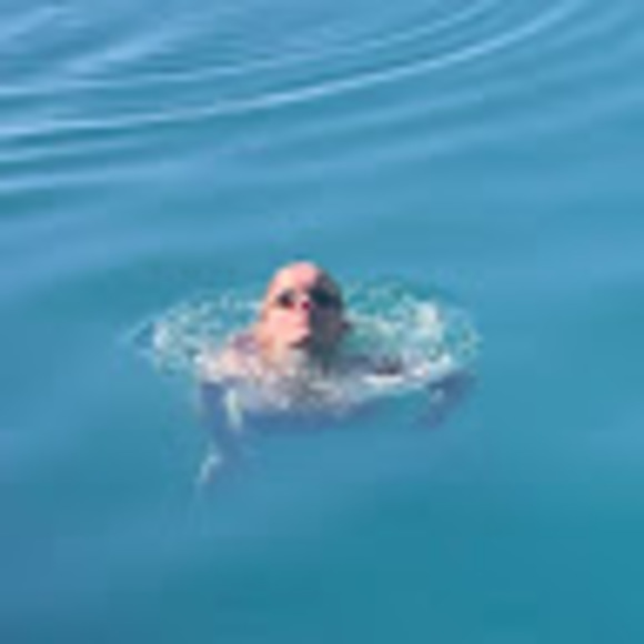 Profile Picture of Ceci Frazee (@peanutcjf) on Poshmark