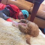 Profile Picture of Andrew M (@andy_maixner) on Instagram