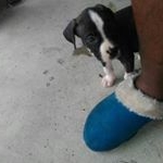 Profile Picture of phillip n dyer jr (@phillipndyer) on Instagram