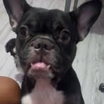 Profile Picture of James Maximo Pautan (@James-Maximo-Pautan) on Facebook