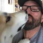 Profile Picture of Mark Robertson (@sleddogsiberians) on Instagram
