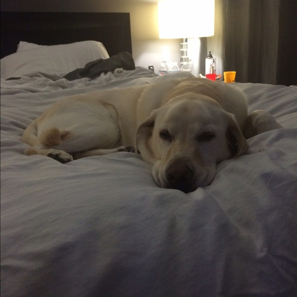 Profile Picture of Josie Schwartz (@josieschwartz) on Poshmark