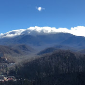 Profile Picture of Alex Verdi (@thealexverdi) on Youtube