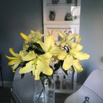 Profile Picture of Andrea Manley (@andijordan1) on Instagram