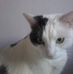 Profile Picture of Jacqueline Avignon (@jacqueline.avignon.3) on Facebook