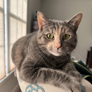 Profile Picture of Brad Bennett (@_brad_bennett_) on Instagram