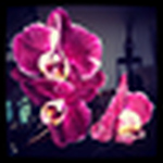 Profile Picture of Kemcteer82 (@Kemcteer82) on Flickr