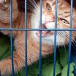 Profile Picture of Michael Siebel (@siebelmichael) on Instagram