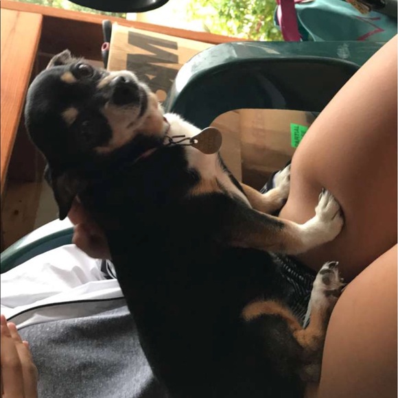 Profile Picture of Ploy Pippin (@1234ploy1234) on Poshmark