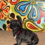 Profile Picture of Tara Mullaney (@crazytei) on Instagram