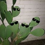 Profile Picture of Lisa (@iserlevenop.pluto) on Instagram