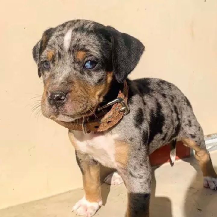 user7699205228979 - Tiktok Profile Picture of user7699205228979 (@garret_ryan) on Tiktok