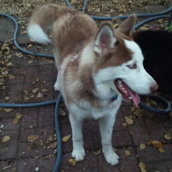 Profile Picture of Joan Thomas (@juseamstress2) on Poshmark