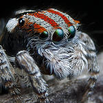 Profile Picture of Martin Anderson (@xX M@rtin Xx) on Flickr