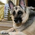 Profile Picture of Steve Fishburn (@steve.fishburn.50) on Instagram
