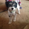 Profile Picture of Leo Nugent (@@leonugent) on Tiktok