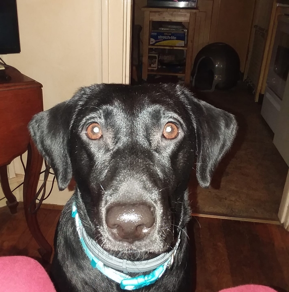 Profile Picture of Michele Huff (@huffm661) on Poshmark