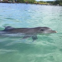 Profile Picture of Richard Mas (@richard-mas-2) on Quora