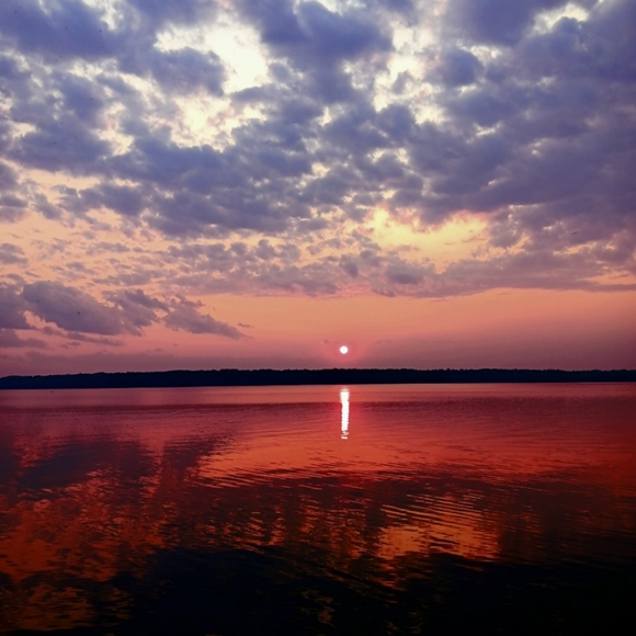 Profile Picture of Egg Egg (@54lt3d3gg5) on Poshmark