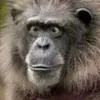 Profile Picture of stephen_downing (@efunk_2011) on Tiktok