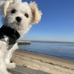 Profile Picture of Buddy Lee Lucas (@Buddy-Lee-Lucas) on Facebook