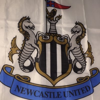 Profile Picture of Richard Sibley (@riccilad1) on Twitter