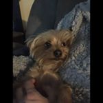 Profile Picture of JonConnor Mattingly (@jonconnormattingly) on Instagram