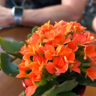 Profile Picture of Michelle Campbell (@KateBenton14) on Twitter