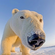 Profile Picture of Abbee (@abbeee) on Youtube