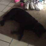 Profile Picture of Michael Rejniak III (@michael_rejniak) on Instagram