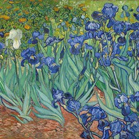 Profile Picture of Sophia Tsai (@sophia-tsai-20) on Quora