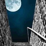 Profile Picture of Kyle Ashworth (@kyleashworth18) on Instagram