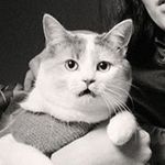 Profile Picture of Matthew Tammaro (@matthewtammaro) on Instagram