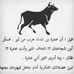 Profile Picture of Bounahra Bounajra Tarek (Jouli cour) (@tarej.bounahra) on Facebook