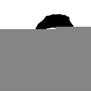 Profile Picture of Nathan Silverman (@skptks) on Myspace