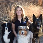Profile Picture of Amy Pishner (@dogtraineramy) on Instagram
