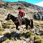 Profile Picture of Tomas Lazo (@tomas.lazo.372) on Instagram