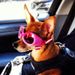Profile Picture of Lars-Erik Eriksson (@ratteeriksson) on Pinterest