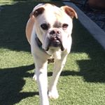 Profile Picture of Paul Roberts (@gtnorganized) on Instagram