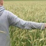 Profile Picture of Mikael Hansen (@mikaelhanzen) on Instagram