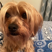 Profile Picture of Robin Knase (@robinknase835) on Youtube