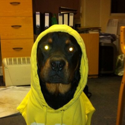 Profile Picture of Robert Brown (@@bertie22991) on Twitter