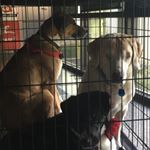 Profile Picture of Stacy Minor Evans (@stacy.m.evans.3) on Instagram