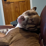 Profile Picture of Darren Fitzpatrick (@darrenfitzpatrick501) on Youtube