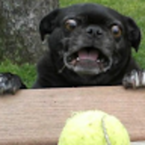 Profile Picture of Markham Shofner (@markhamshofner) on Poshmark